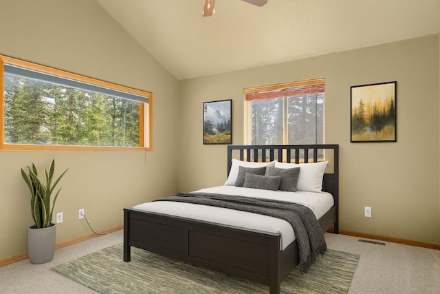 238 Prunes Pl, Fairplay, CO 80440 - photo 15