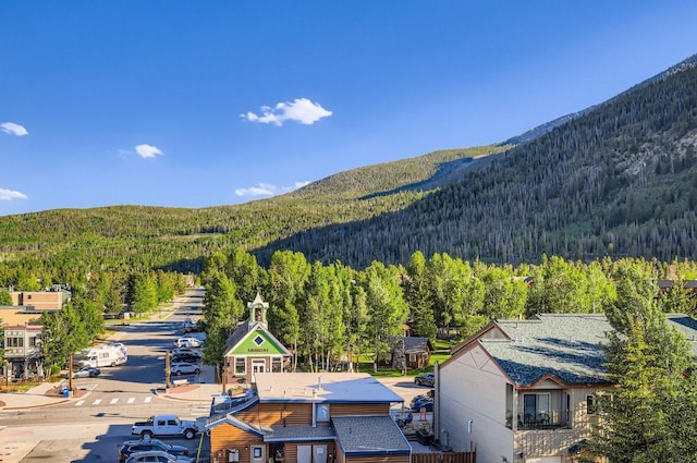 190 Galena St Unit 11, Frisco, CO 80443 - photo 36