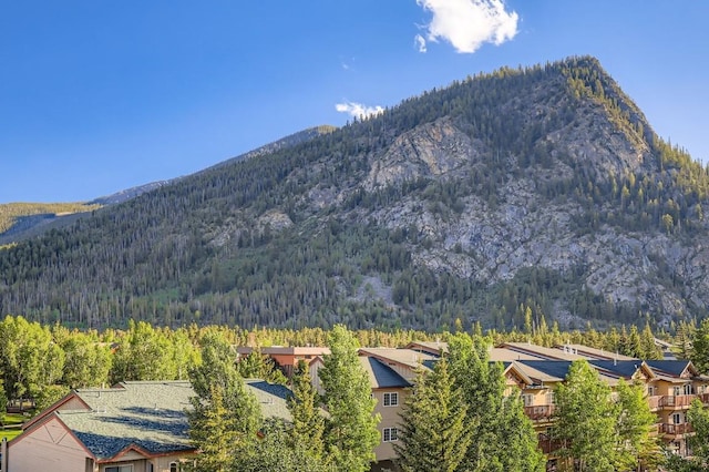 190 Galena St Unit 11, Frisco, CO 80443 - photo 35