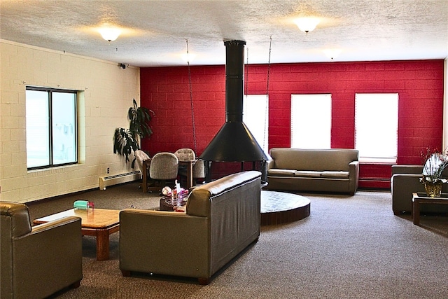 0893 Straight Creek Dr Unit 302, Dillon, CO 80435 - living area featuring baseboard heating, healthy amount of natural light, a textured ceiling, carpet, and a wood stove