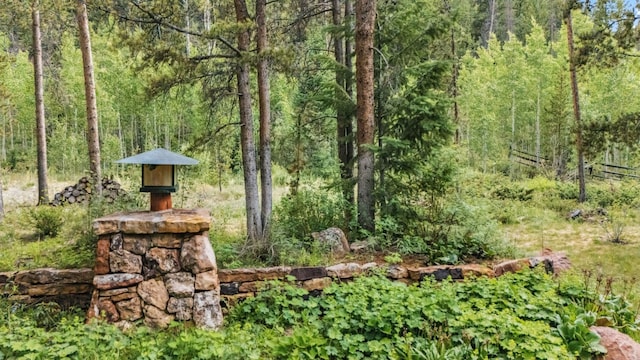 1716 Soda Ridge Rd, Keystone, CO 80435 - photo 35