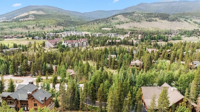 1716 Soda Ridge Rd, Keystone, CO 80435 - photo 42