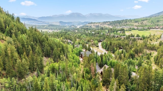 1716 Soda Ridge Rd, Keystone, CO 80435 - photo 41