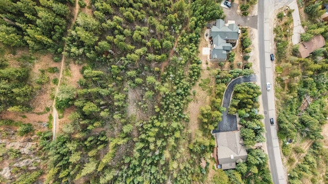 1716 Soda Ridge Rd, Keystone, CO 80435 - photo 7