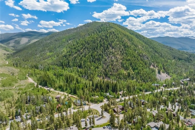 1716 Soda Ridge Rd, Keystone, CO 80435 - photo 19