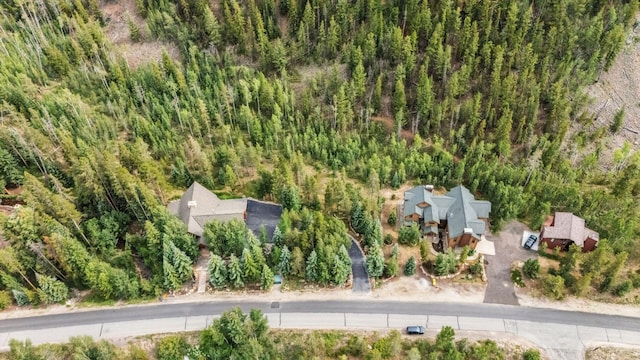 1716 Soda Ridge Rd, Keystone, CO 80435 - photo 37