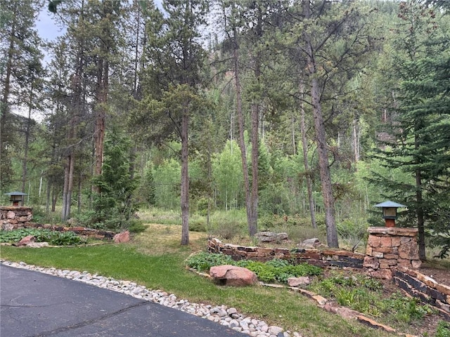 1716 Soda Ridge Rd, Keystone, CO 80435 - photo 2