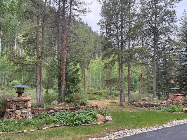 1716 Soda Ridge Rd, Keystone, CO 80435 - photo 1