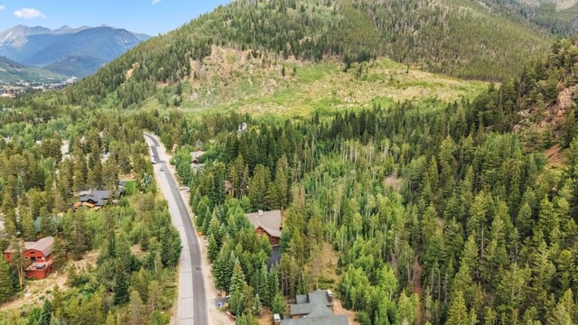 1716 Soda Ridge Rd, Keystone, CO 80435 - photo 32