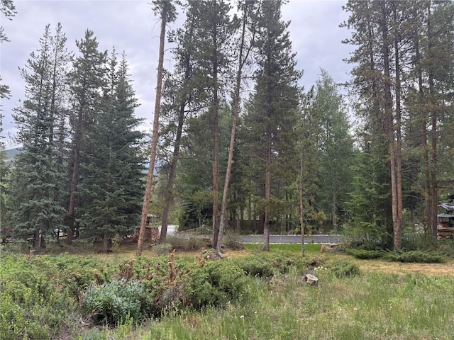 1716 Soda Ridge Rd, Keystone, CO 80435 - photo 18