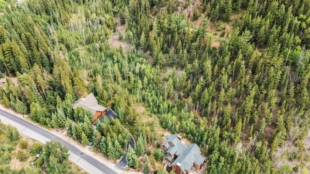 1716 Soda Ridge Rd, Keystone, CO 80435 - photo 38