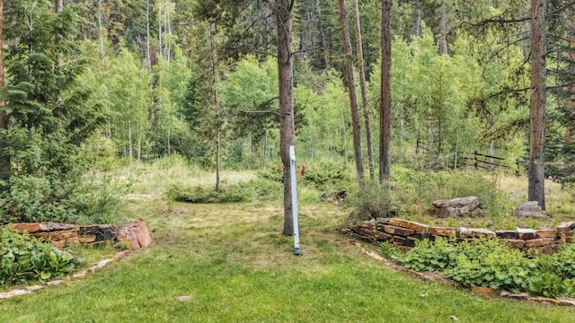 1716 Soda Ridge Rd, Keystone, CO 80435 - photo 40