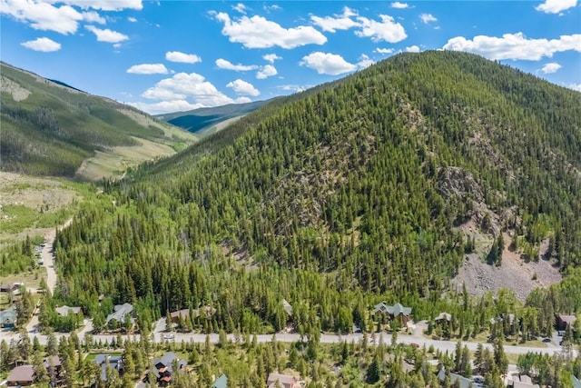 1716 Soda Ridge Rd, Keystone, CO 80435 - photo 16