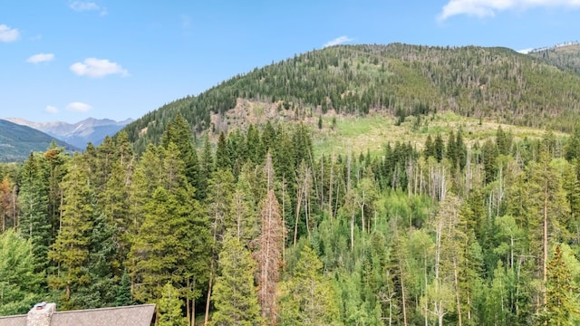 1716 Soda Ridge Rd, Keystone, CO 80435 - photo 44