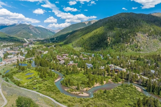 1716 Soda Ridge Rd, Keystone, CO 80435 - photo 22