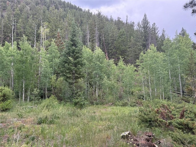 1716 Soda Ridge Rd, Keystone, CO 80435 - photo 4