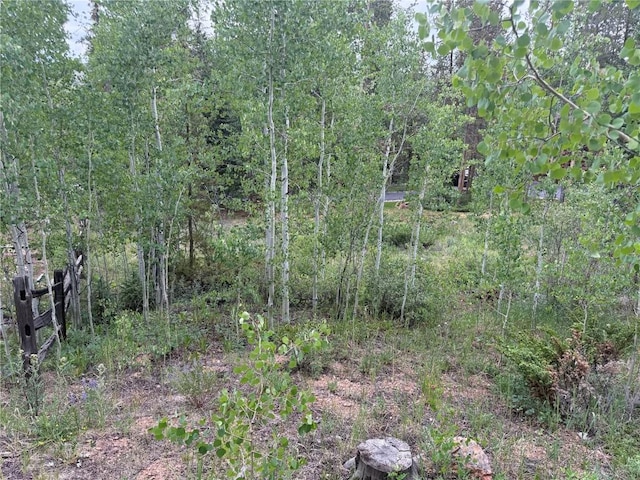 1716 Soda Ridge Rd, Keystone, CO 80435 - photo 15