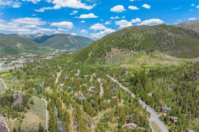 1716 Soda Ridge Rd, Keystone, CO 80435 - photo 21