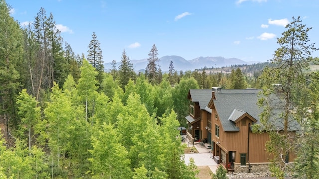 1716 Soda Ridge Rd, Keystone, CO 80435 - photo 43