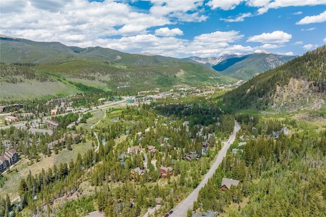 1716 Soda Ridge Rd, Keystone, CO 80435 - photo 23