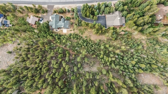 1716 Soda Ridge Rd, Keystone, CO 80435 - photo 33