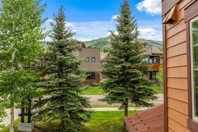 2545 Cattle Kate Cir Unit 3207, Steamboat Springs, CO 80487 - photo 10