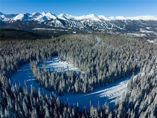 LOT20 Cumberland Dr, Breckenridge, CO 80424