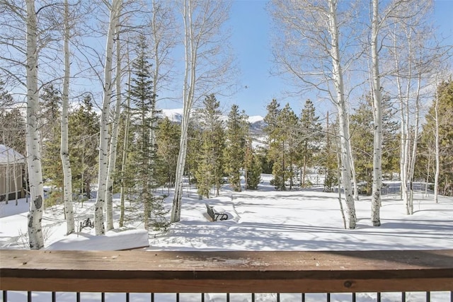 view of snowy yard