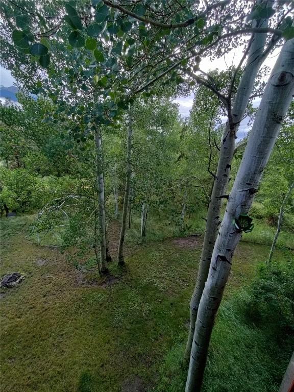 view of nature featuring a forest view