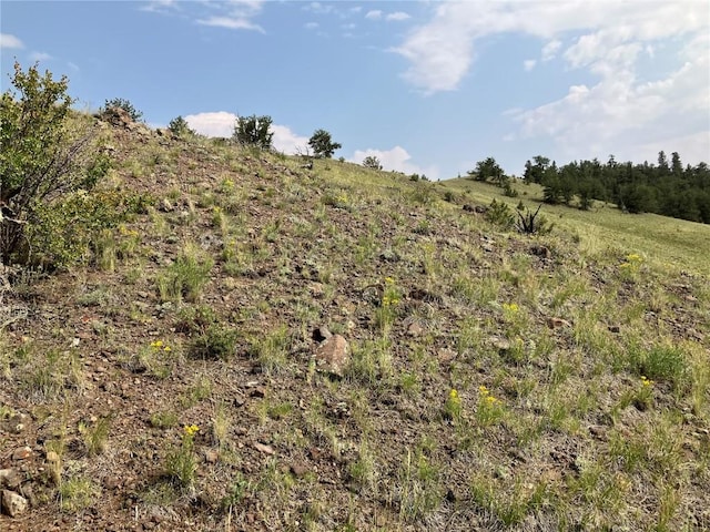 154 Milner Rd, Hartsel, CO 80449 - photo 29