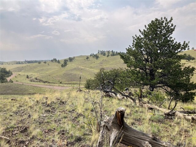154 Milner Rd, Hartsel, CO 80449 - photo 42