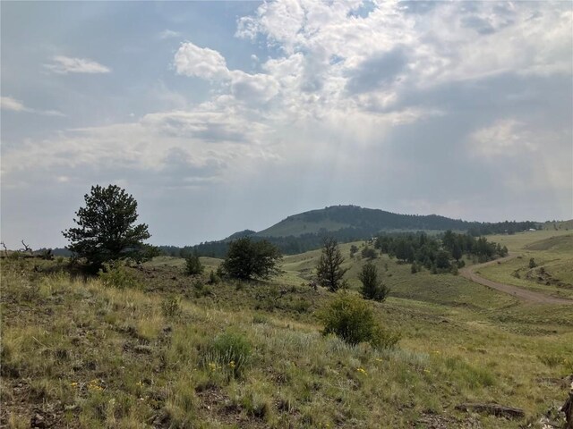 154 Milner Rd, Hartsel, CO 80449 - photo 45