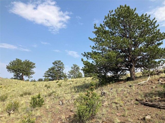 154 Milner Rd, Hartsel, CO 80449 - photo 28