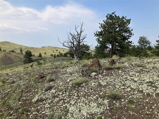 154 Milner Rd, Hartsel, CO 80449 - photo 37