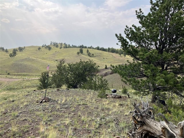 154 Milner Rd, Hartsel, CO 80449 - photo 40
