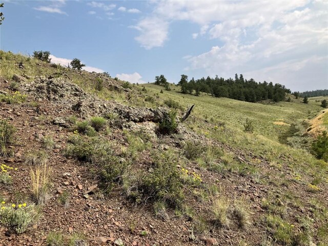 154 Milner Rd, Hartsel, CO 80449 - photo 24