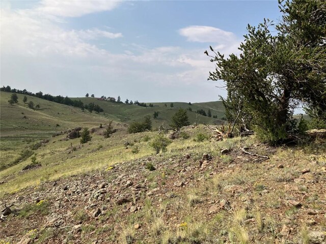 154 Milner Rd, Hartsel, CO 80449 - photo 31
