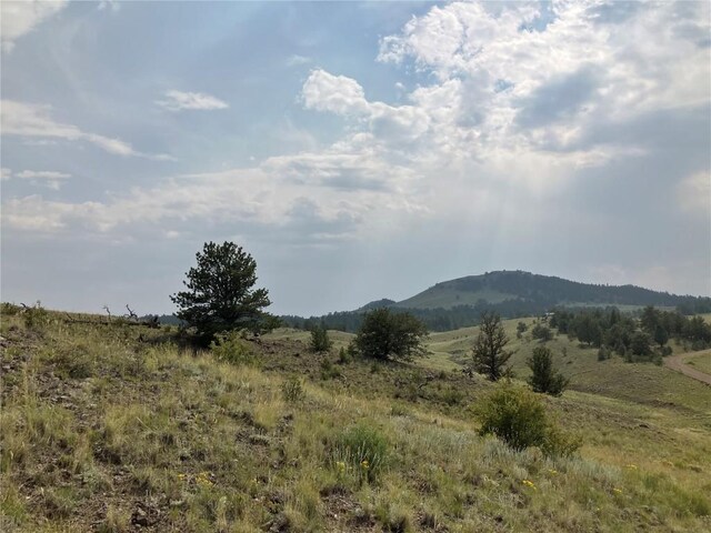154 Milner Rd, Hartsel, CO 80449 - photo 46