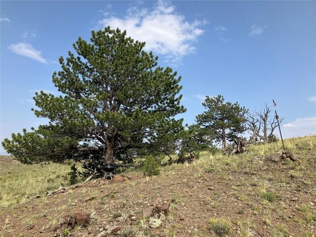 154 Milner Rd, Hartsel, CO 80449 - photo 26