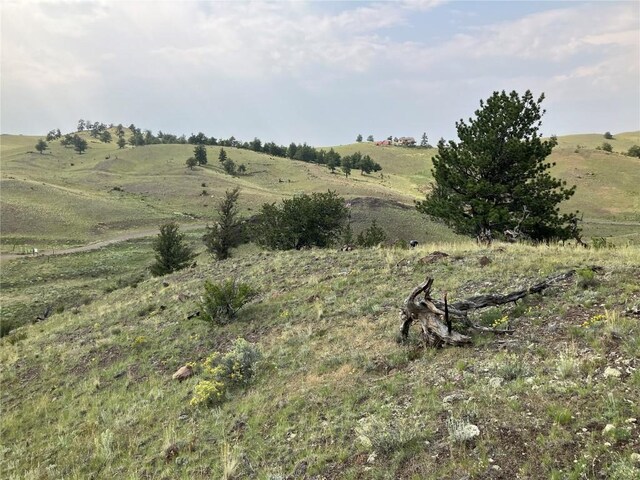 154 Milner Rd, Hartsel, CO 80449 - photo 35