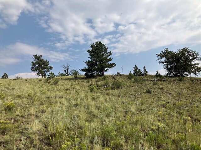 154 Milner Rd, Hartsel, CO 80449 - photo 3