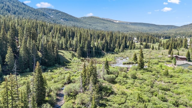 301 Quandary Rd, Breckenridge, CO 80424 - photo 49