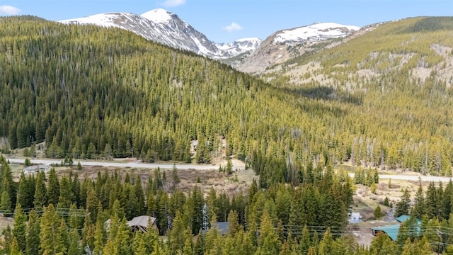 301 Quandary Rd, Breckenridge, CO 80424 - photo 48