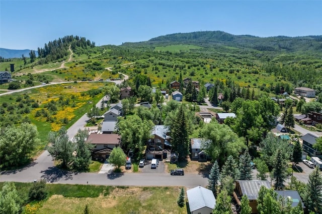1103 Saratoga Ave, Steamboat Springs, CO 80487 - photo 5