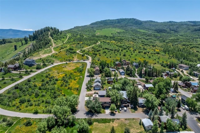 1103 Saratoga Ave, Steamboat Springs, CO 80487 - photo 3
