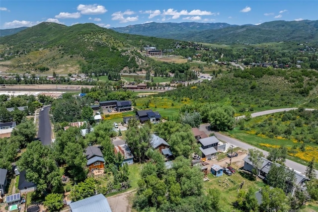 1103 Saratoga Ave, Steamboat Springs, CO 80487 - photo 8