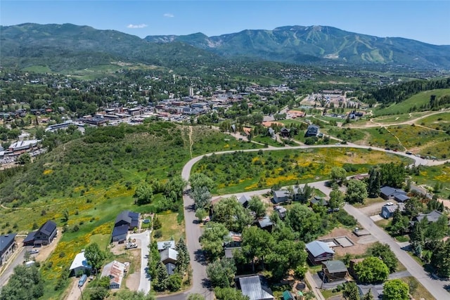 1103 Saratoga Ave, Steamboat Springs, CO 80487 - photo 9
