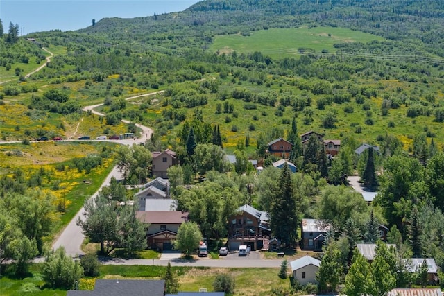 1103 Saratoga Ave, Steamboat Springs, CO 80487 - photo 6