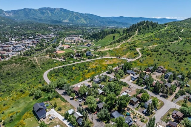 1103 Saratoga Ave, Steamboat Springs, CO 80487 - photo 2