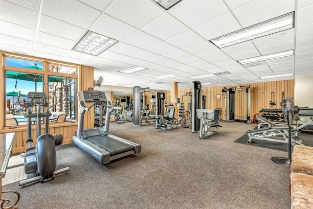 exercise room featuring a paneled ceiling, wood walls, and carpet floors